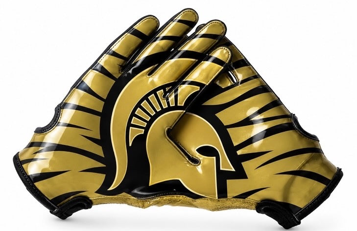 Football Gloves