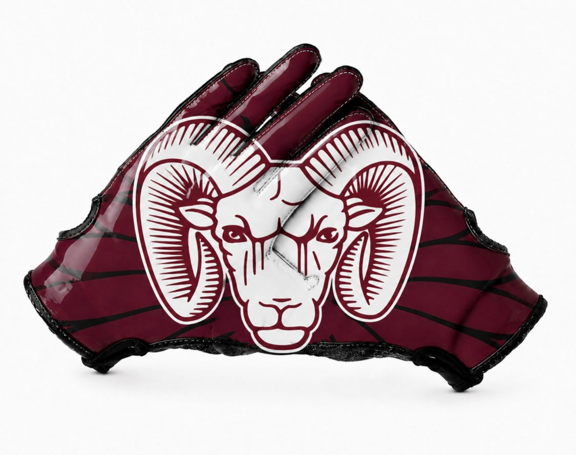 Football Gloves