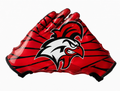Football Gloves